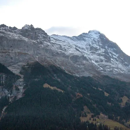 Chalet Albi.1