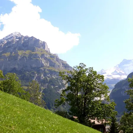 Chalet Albi.1 * Grindelwald